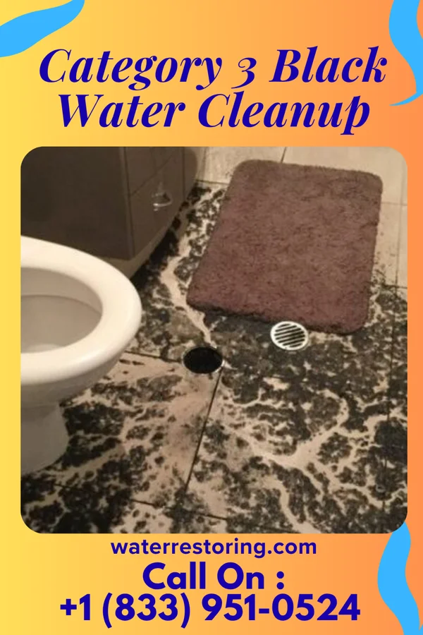 Category 3 Black Water Cleanup in Lamberton, MN