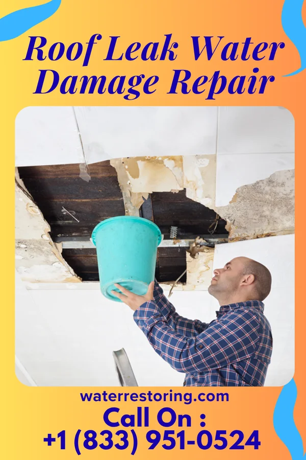 Roof Leak Water Damage Repair in Lamberton, MN
